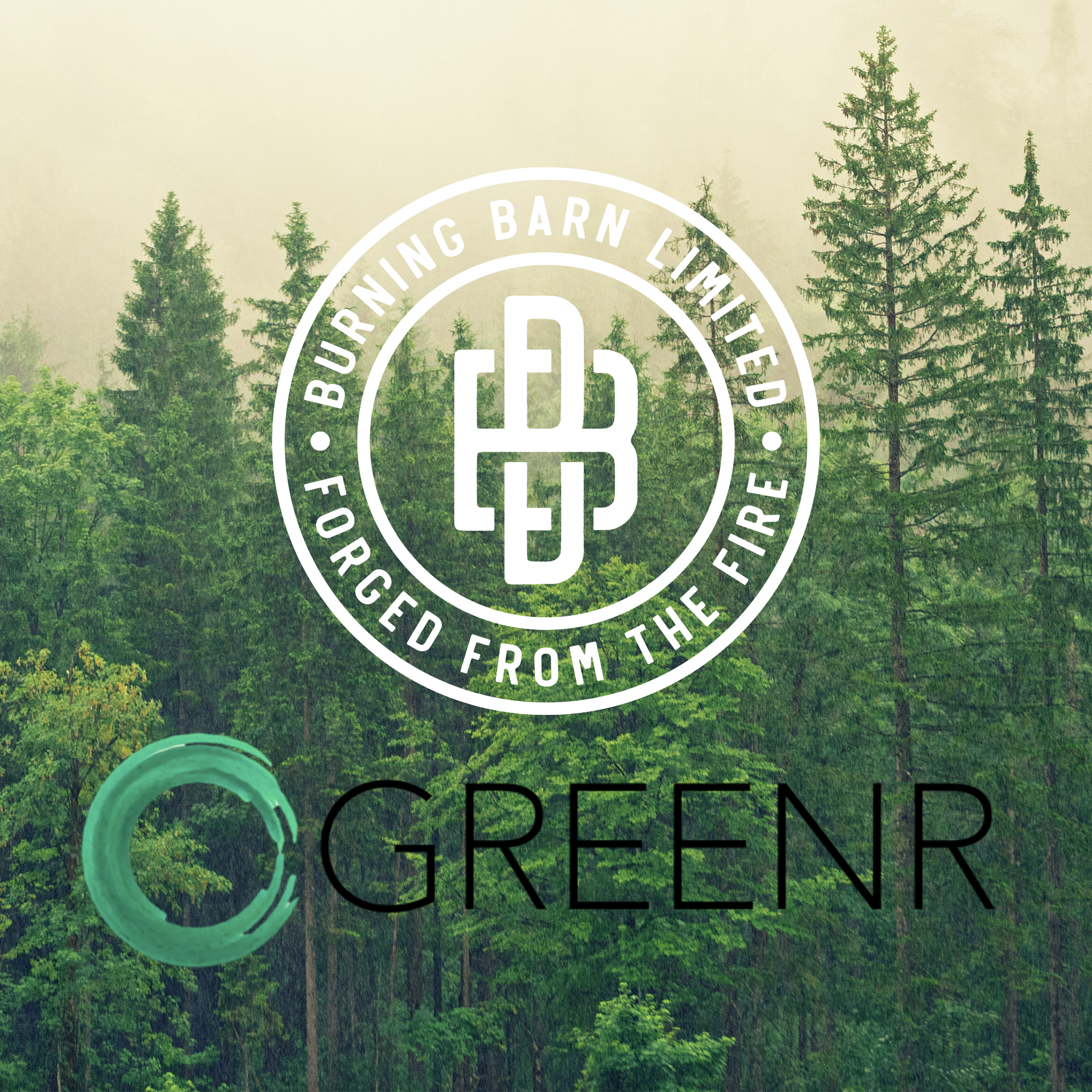 Our Sustainability Journey - going Greenr